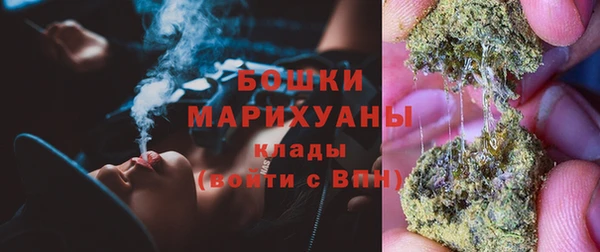 соль ск Вяземский